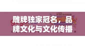 雕牌独家冠名，品牌文化与文化传播的巅峰融合