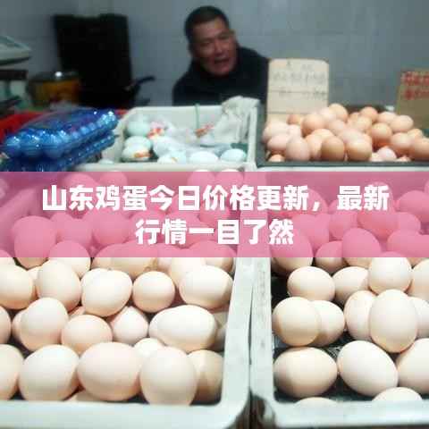 山东鸡蛋今日价格更新，最新行情一目了然