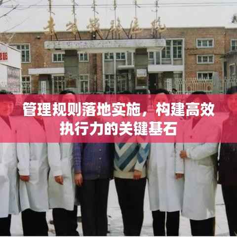 管理规则落地实施，构建高效执行力的关键基石
