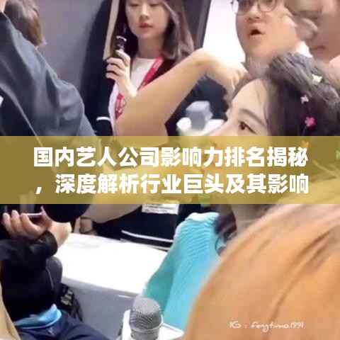 国内艺人公司影响力排名揭秘，深度解析行业巨头及其影响力
