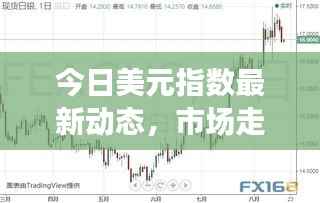 今日美元指数最新动态,市场走势深度分析与预测