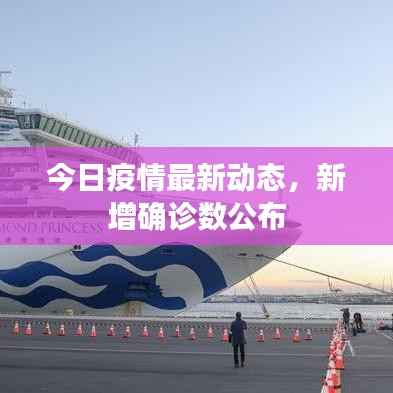 今日疫情最新动态，新增确诊数公布