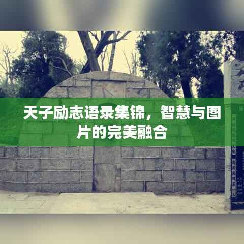 天子励志语录集锦,智慧与图片的完美融合
