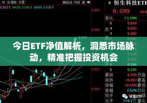 今日ETF净值解析，洞悉市场脉动，精准把握投资机会
