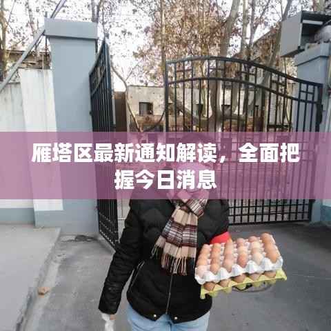 雁塔区最新通知解读，全面把握今日消息